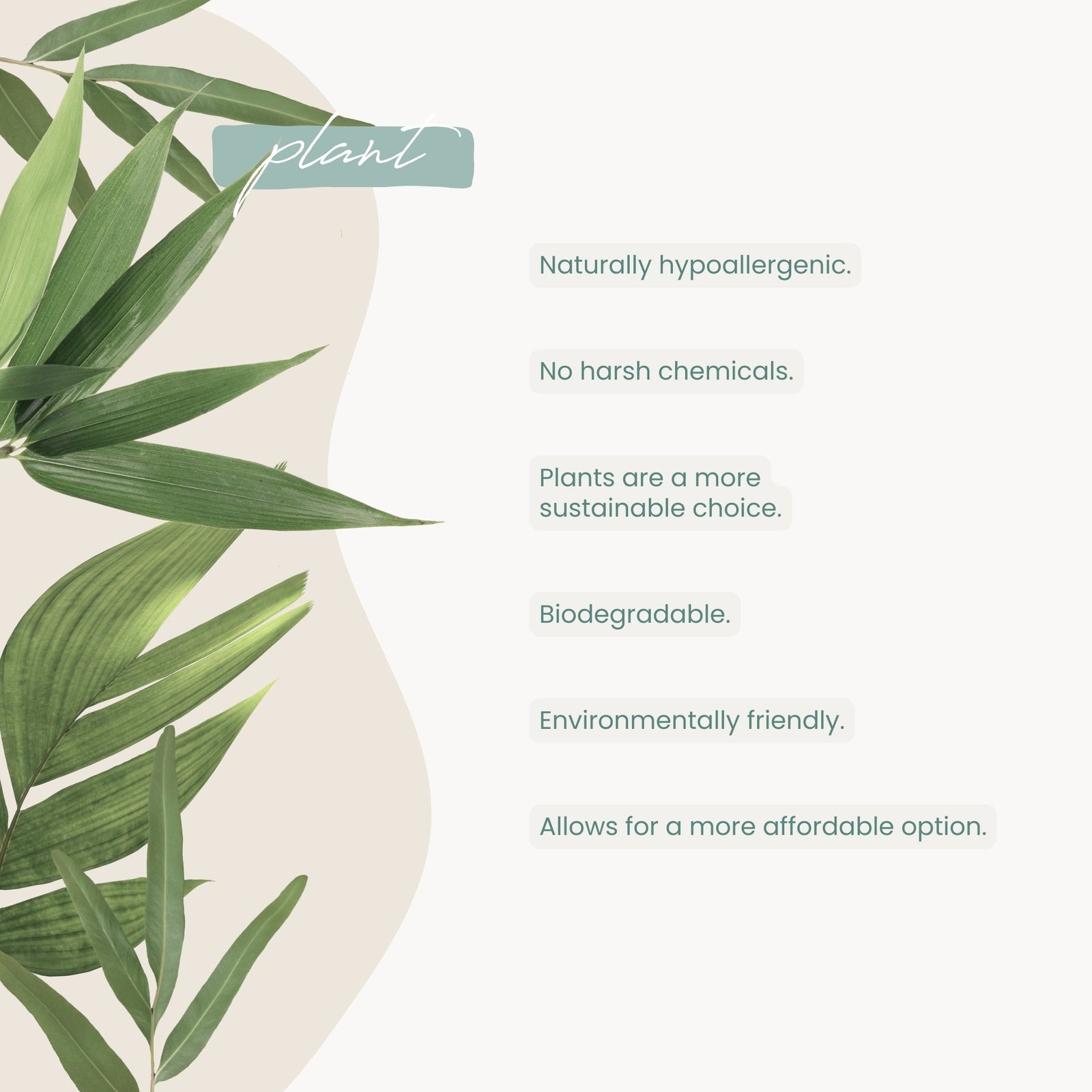 30% OFF BABY BUMP SALE Haleco 70% Biodegradable COTTON Infant Baby Nappies 3 - 6kg | SINGLE BOX - Gentle on Skin, Eco‑Friendly - shop_name Nappies