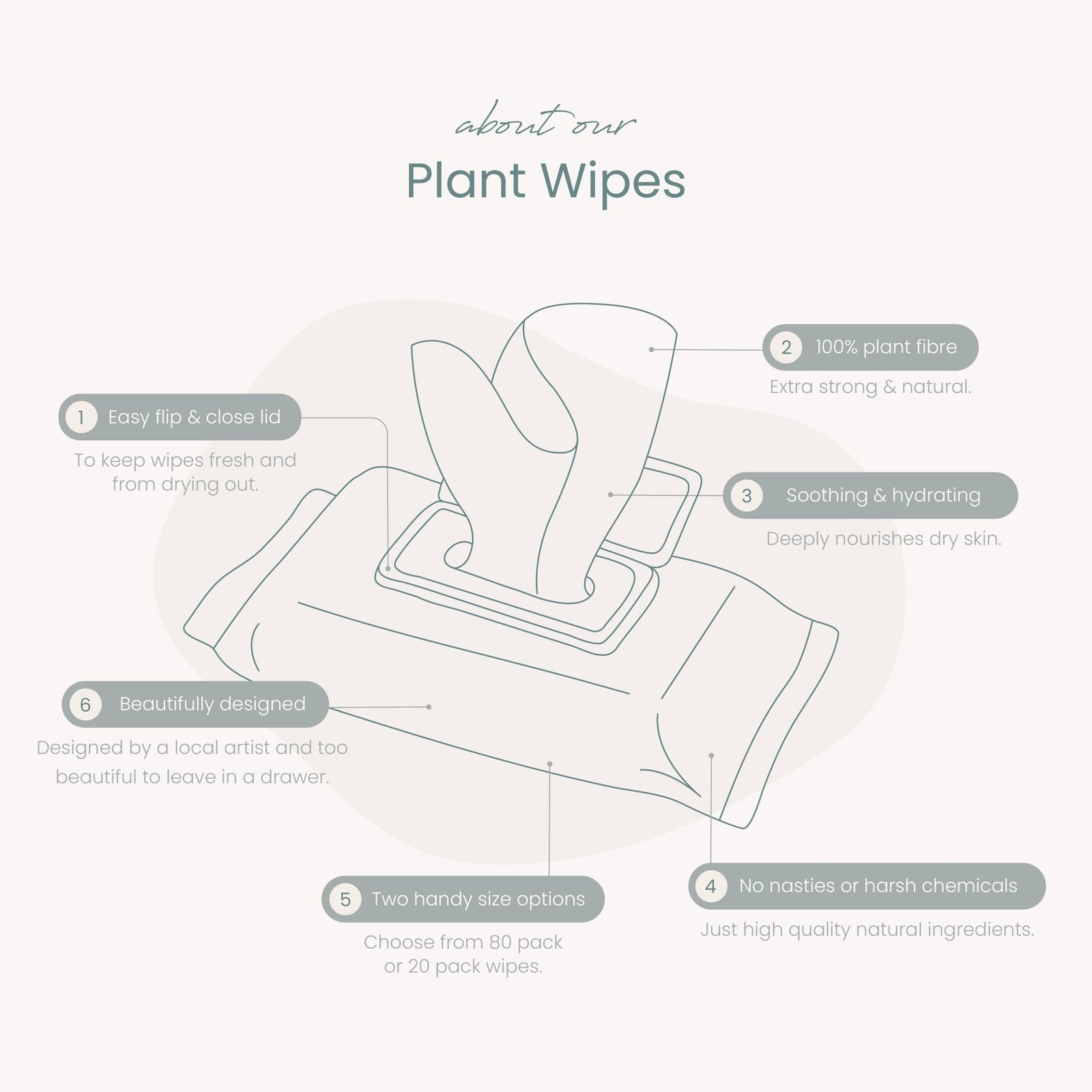 Haleco by Luvme 80pk Plant Wipes | 1 PACK - shop_name Wipes