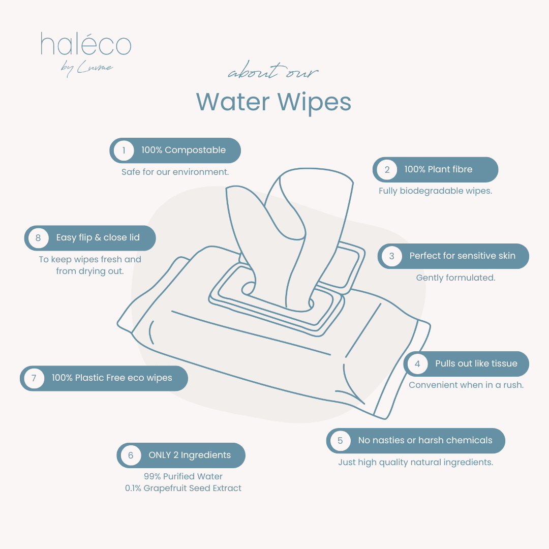 Haléco by Luvme 80pk Water Wipes | 12 PACK - shop_name Wipes