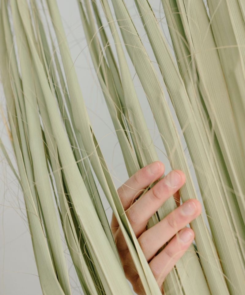 Why We Love Bamboo