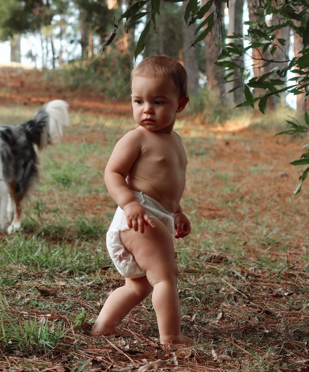 Biodegradable or Compostable: what's the difference? - Luvme