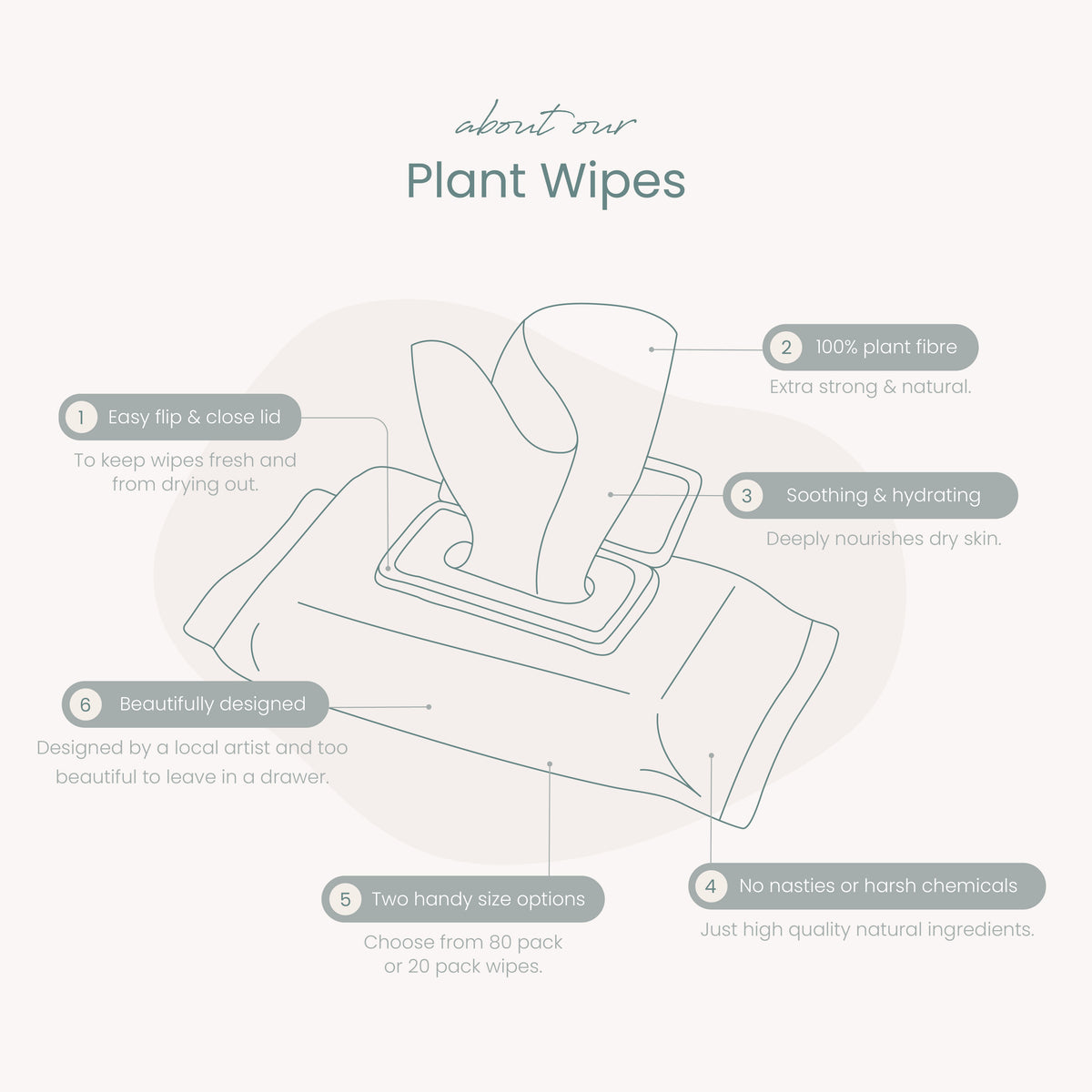 Haléco by Luvme 80pk Plant Wipes | 12 PACKS