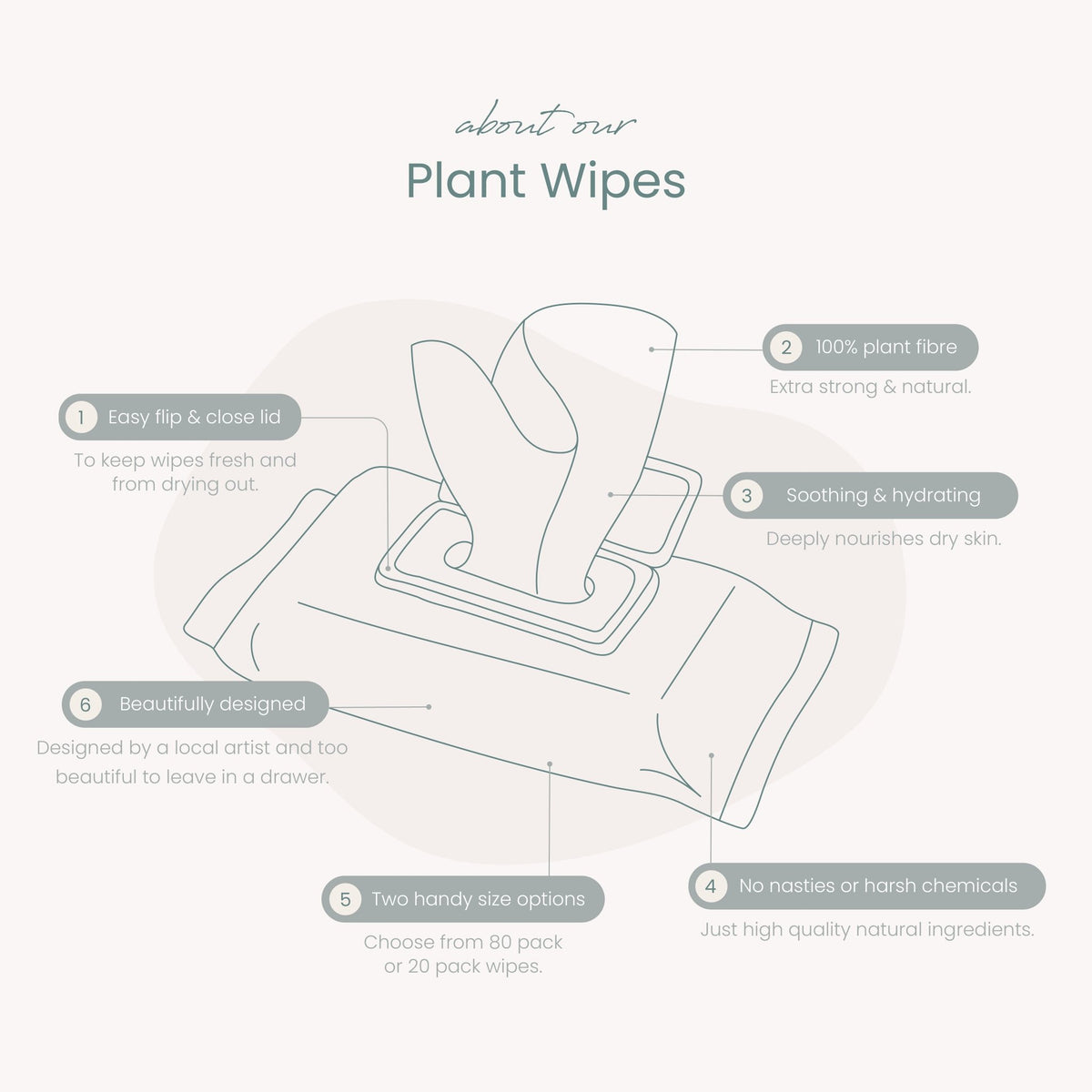 Haléco by Luvme 80pk Plant Wipes | 12 PACKS - shop_name Wipes