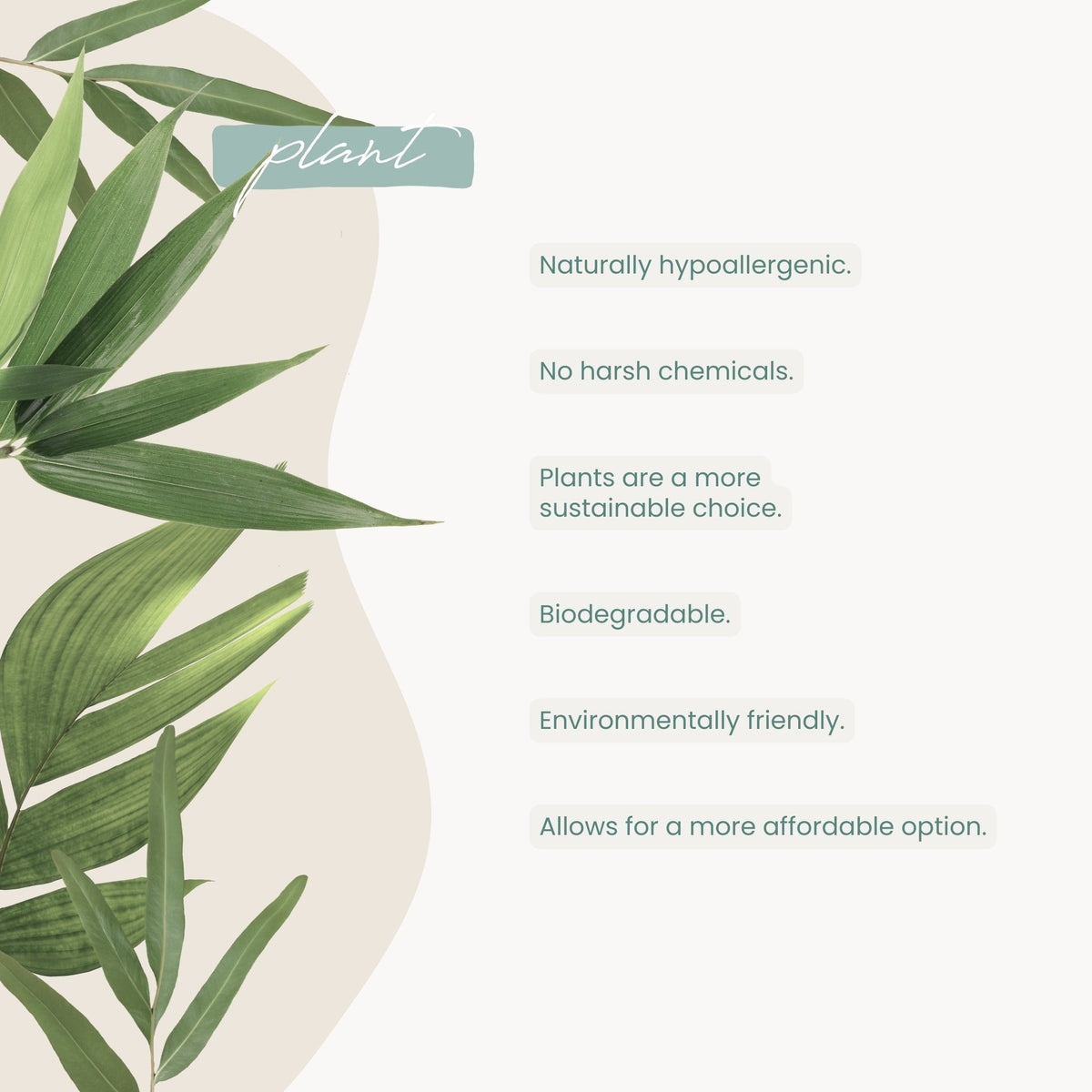 Haléco Plant Nappies | SINGLE BOX - shop_name Nappies