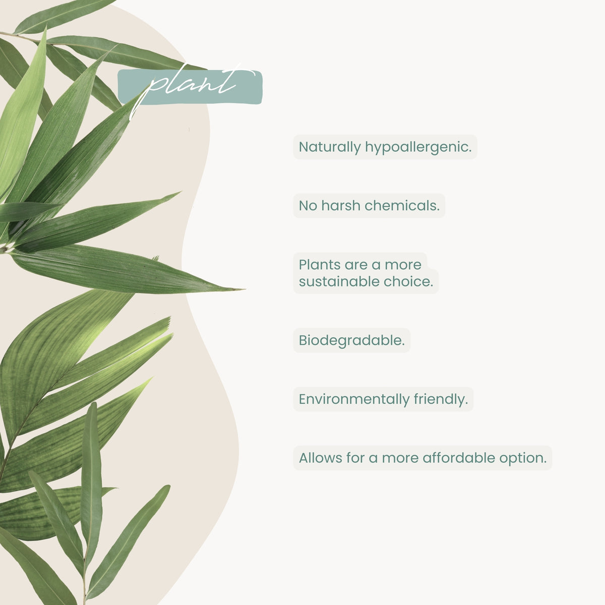 Haléco by Luvme 80pk Plant Wipes | 12 PACKS